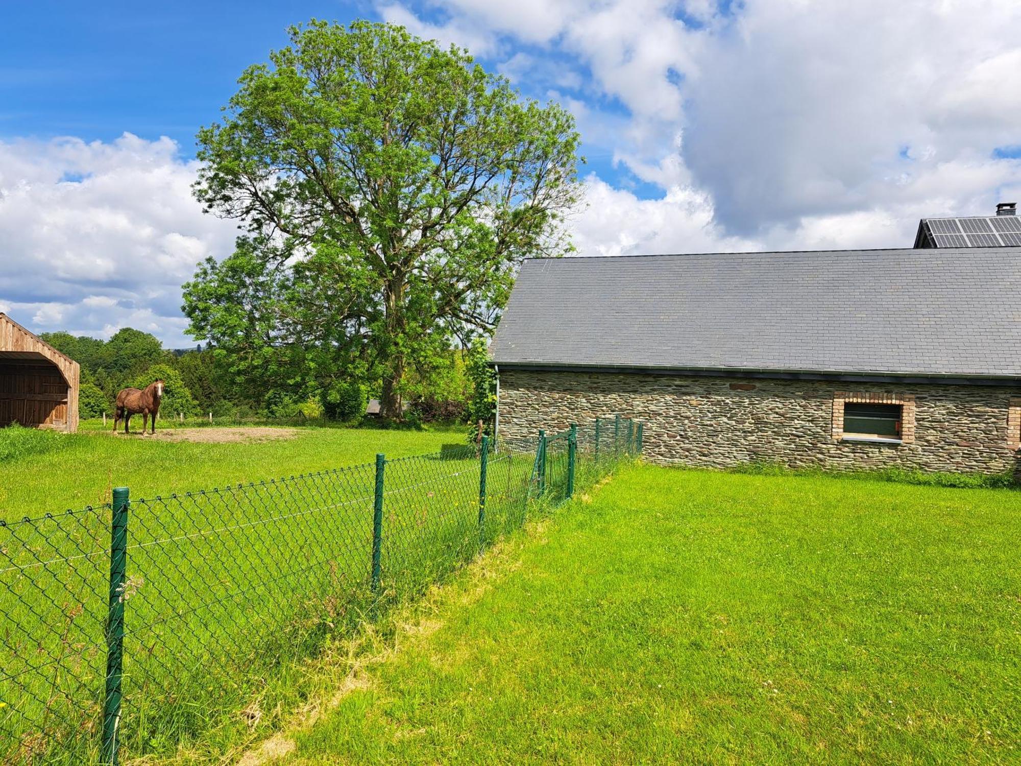 Gîte L'Olivier à Filly - Nadrin, entre Houffalize et La Roche-en-Ardenne Exterior foto